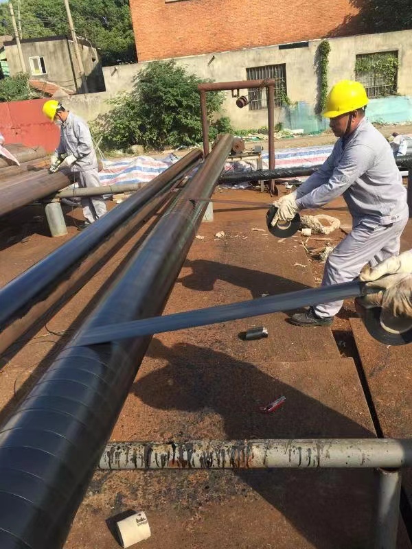 ���p�����z���Ĉ�(zh��)�И�(bi��o)��(zh��n)�c����x��